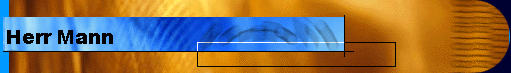  Herr Mann 